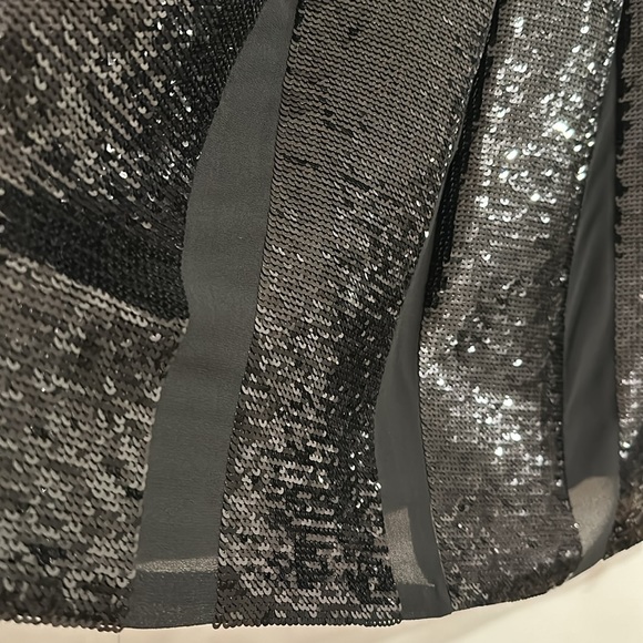 Micheal Kors Sequin pleated skirt with sheer inserts. - Picture 2 of 5